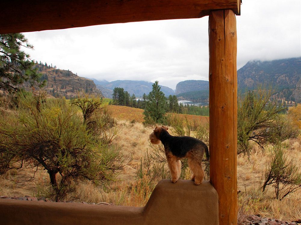 Bighorn Ridge Guesthouse Okanagan Falls Exterior photo