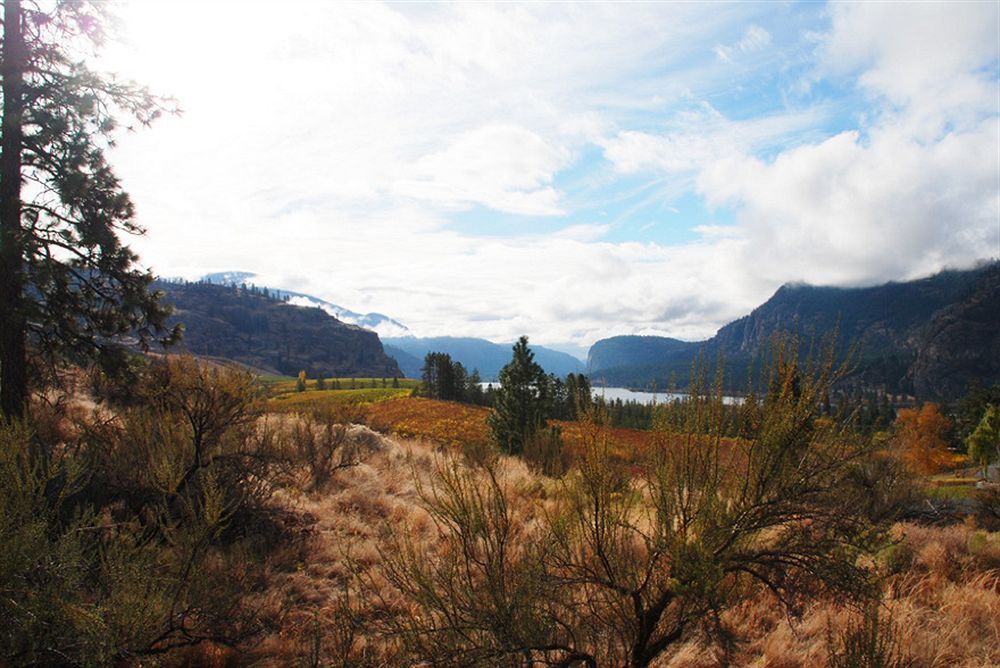 Bighorn Ridge Guesthouse Okanagan Falls Exterior photo